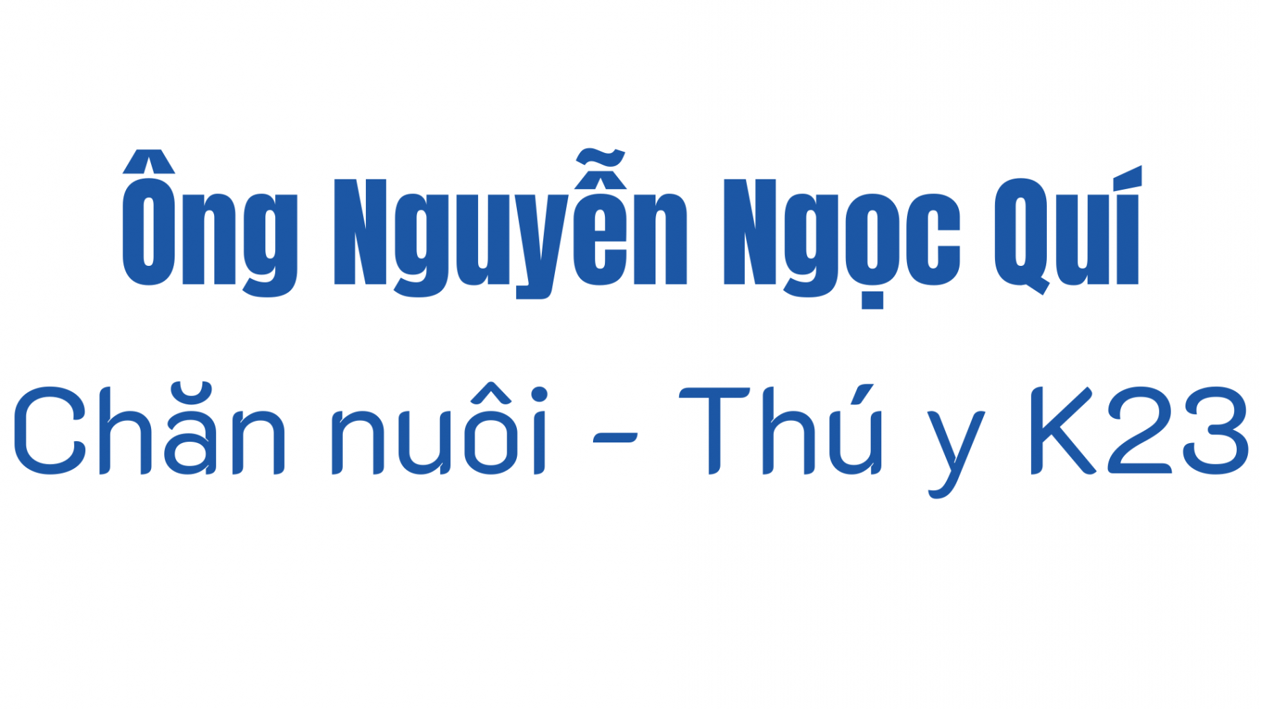 Các nhà tài trợ khác